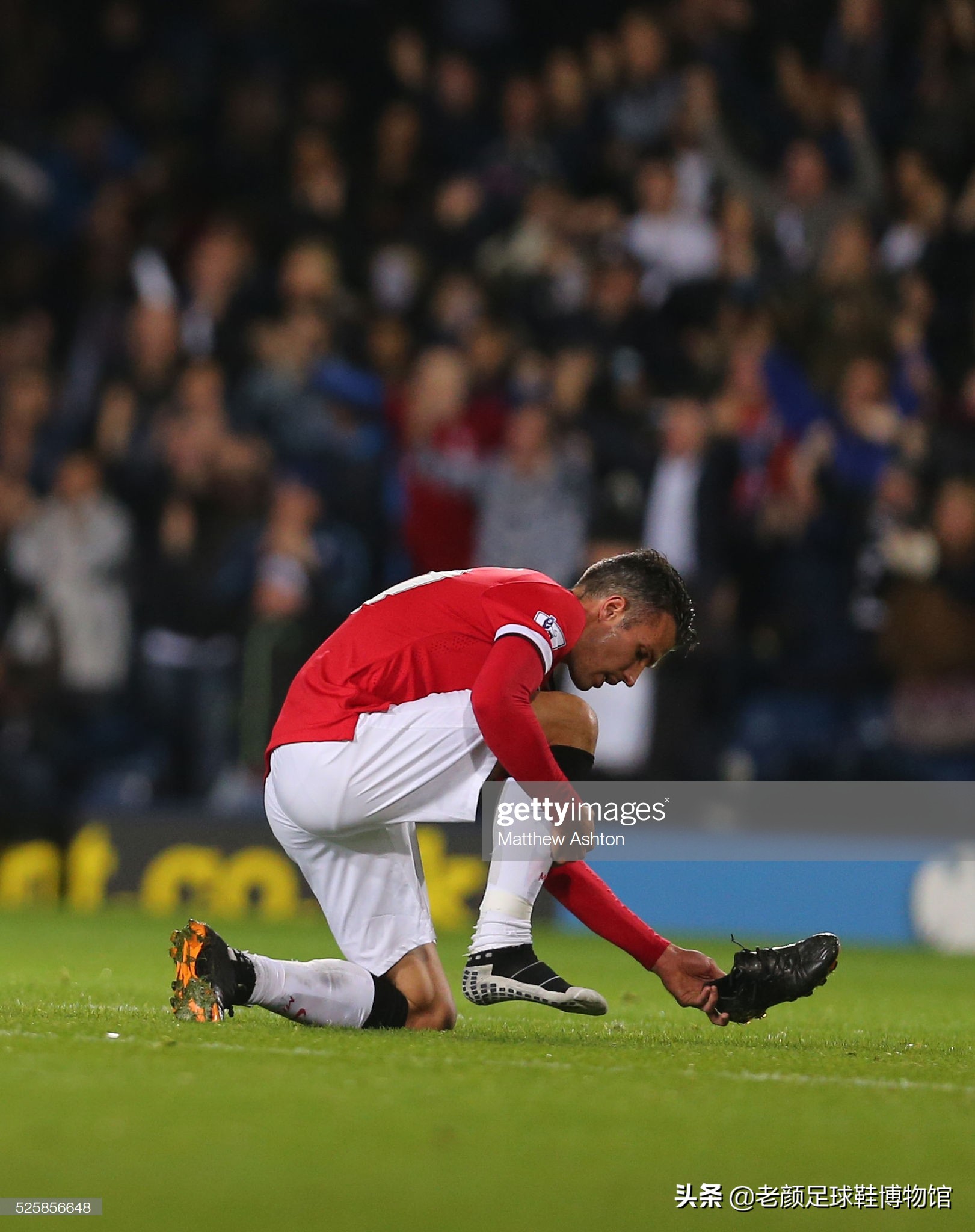 口口相传，行业认可